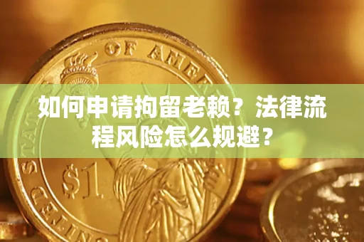 武汉如何申请拘留老赖？法律流程风险怎么规避？