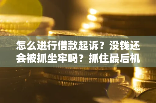 武汉怎么进行借款起诉？没钱还会被抓坐牢吗？抓住最后机会！