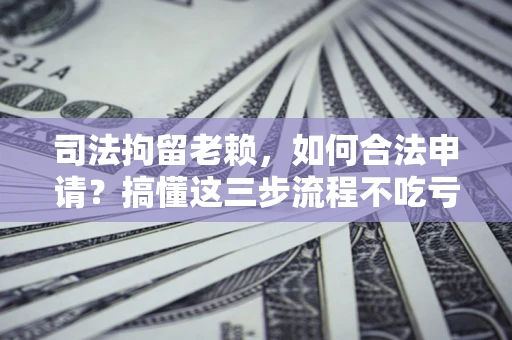 武汉司法拘留老赖，如何合法申请？搞懂这三步流程不吃亏！