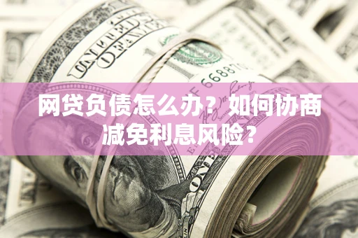 武汉网贷负债怎么办？如何协商减免利息风险？