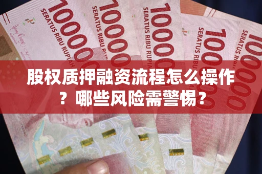 武汉股权质押融资流程怎么操作？哪些风险需警惕？