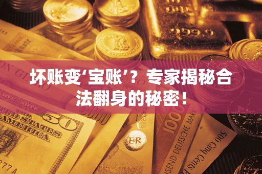 武汉坏账变‘宝账’？专家揭秘合法翻身的秘密！