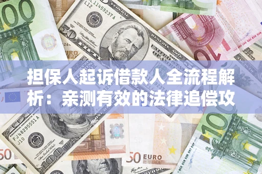 武汉担保人起诉借款人全流程解析：亲测有效的法律追偿攻略