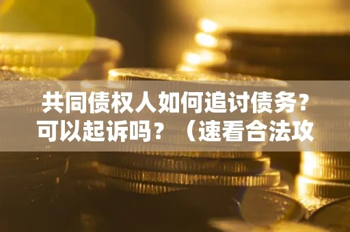 武汉共同债权人如何追讨债务？可以起诉吗？（速看合法攻略）